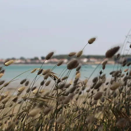 Maison d'hôtes D'hôtes Dinedort 3*