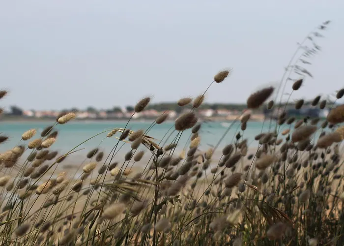 Maison d'hôtes D'hôtes Dinedort 3*